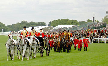 Ascot