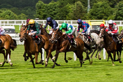 Ascot Horses