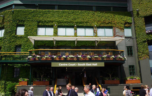 wimbledon andy murray