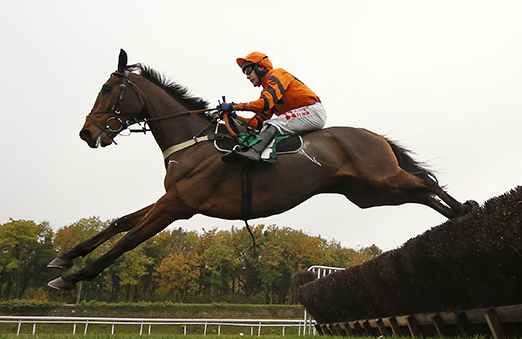 cheltenham horse race